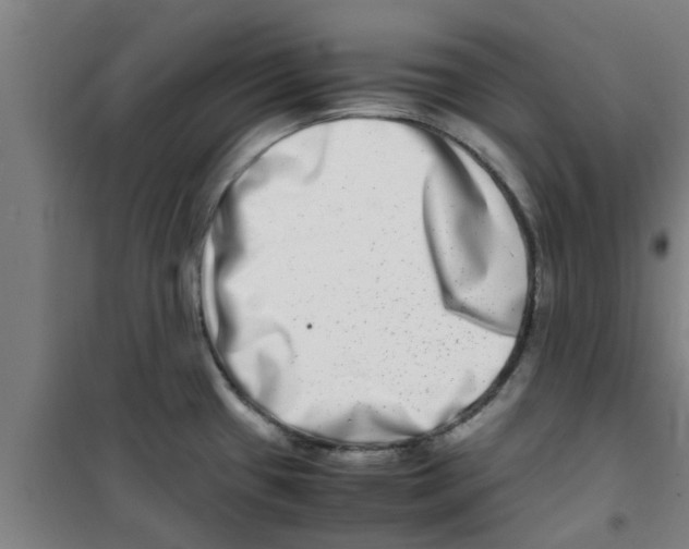 X0000100401433200807032003