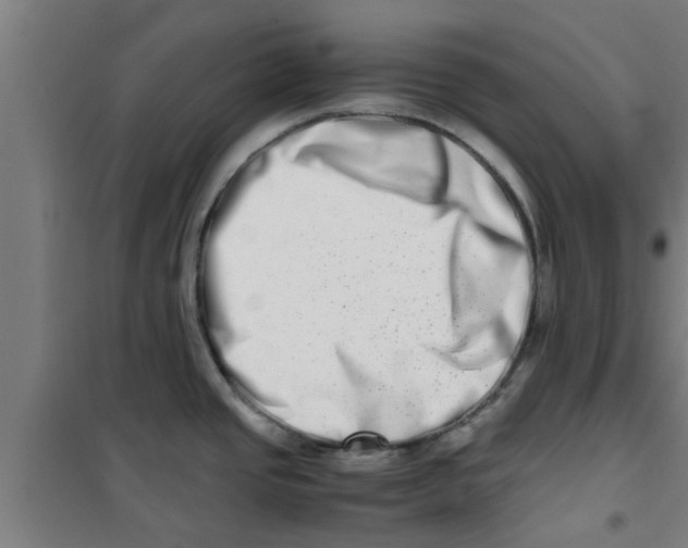X0000100401437200807032003