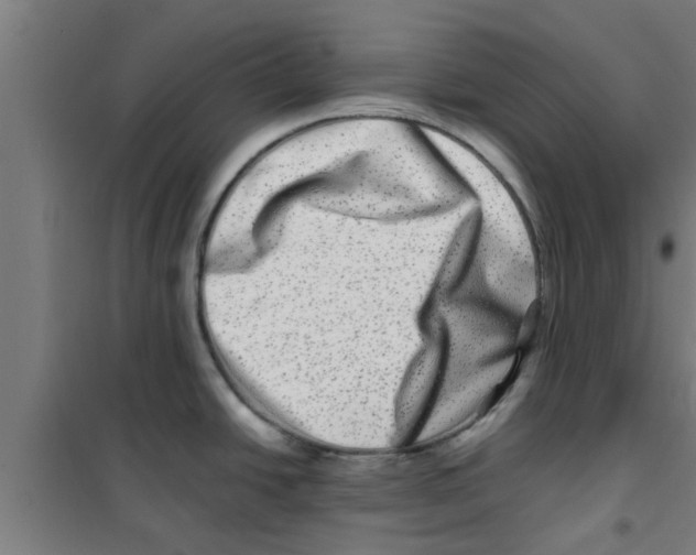X0000100401438200807032003