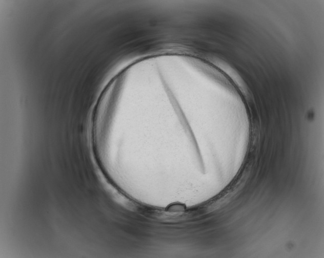 X0000100401439200807032003