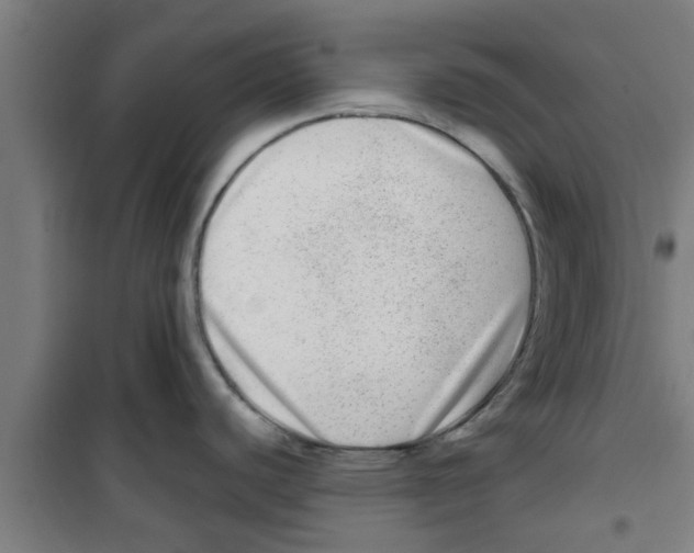 X0000100401440200807032003