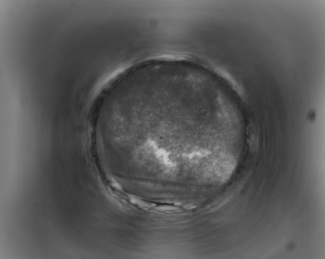 X0000100401448200807032002