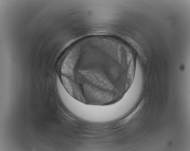 X0000100401449200807032002