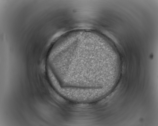X0000100401451200807032002