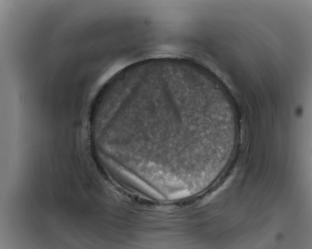 X0000100401453200807032002