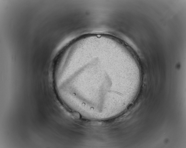 X0000100401456200807032002