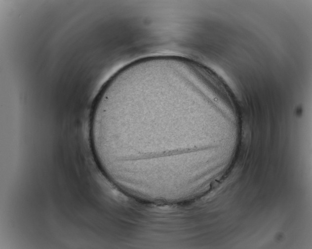 X0000100401460200807032002