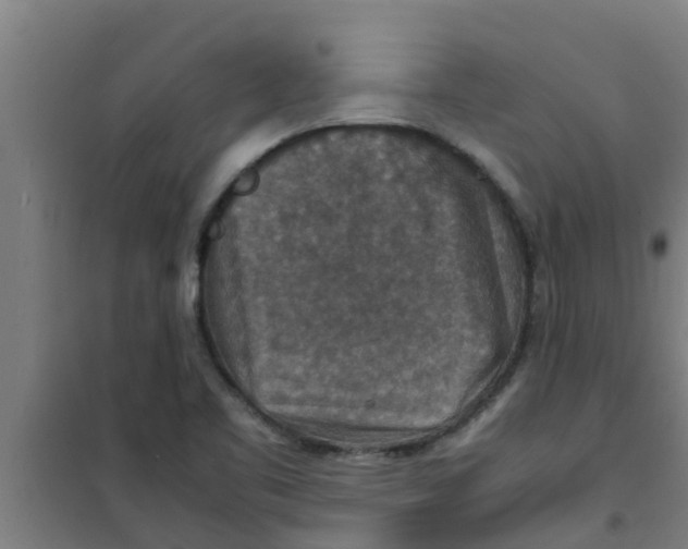 X0000100401461200807032002