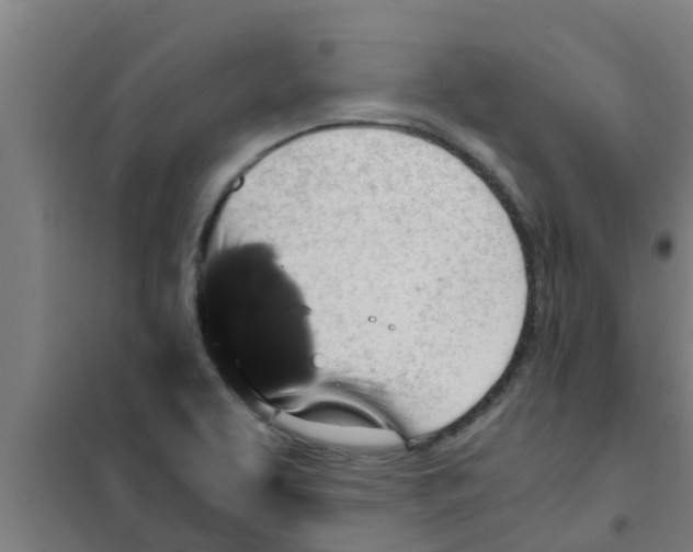 X0000100401463200807032002