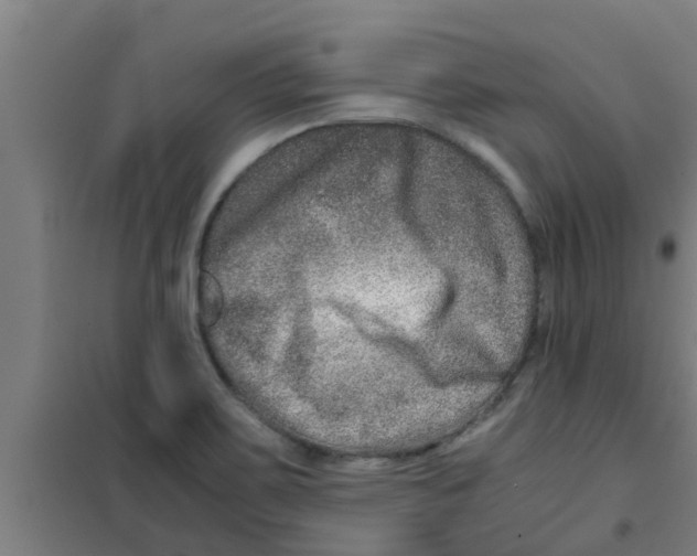 X0000100401467200807032002