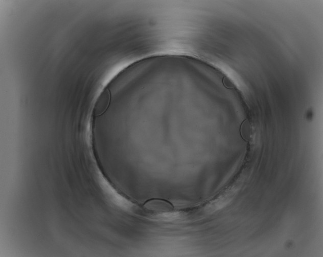 X0000100401468200807032002