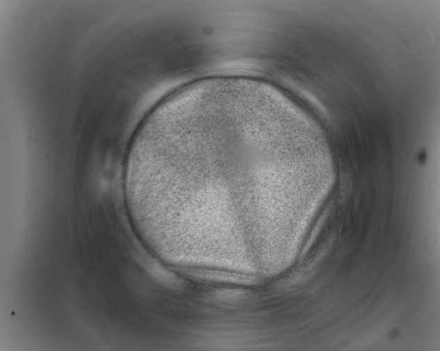 X0000100401470200807032002
