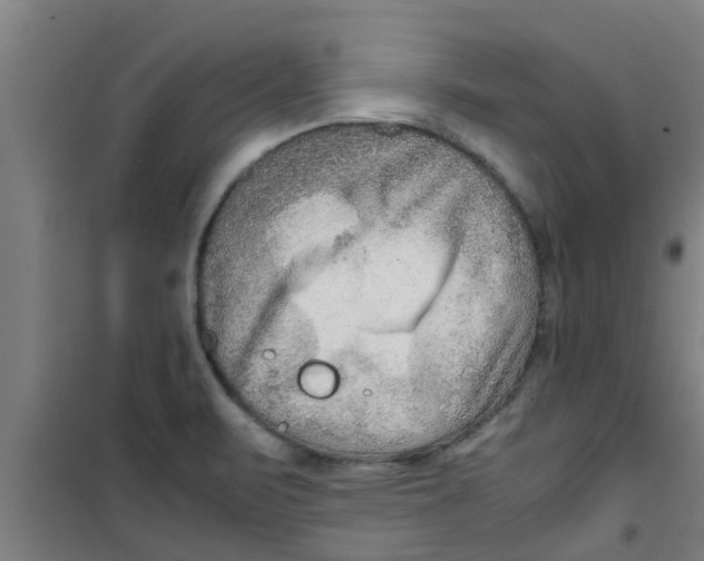 X0000100401471200807032002