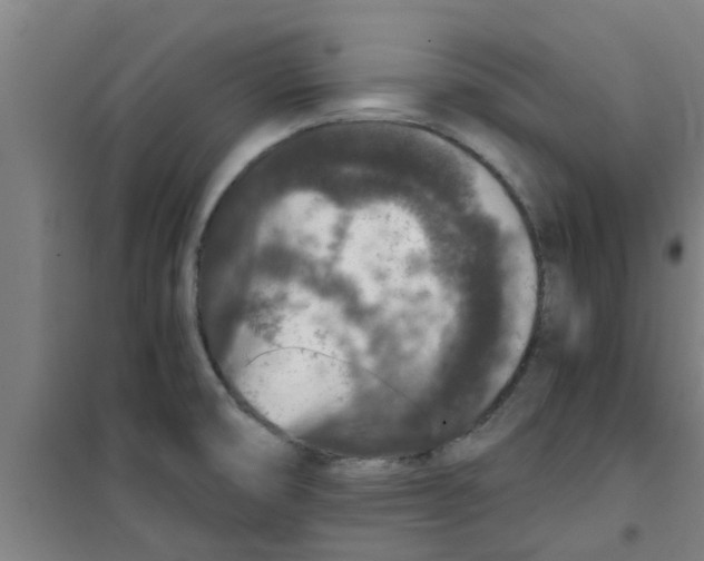 X0000100401474200807032002