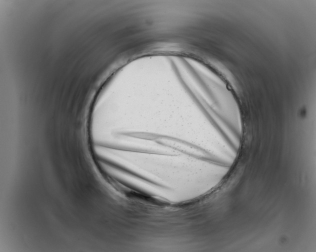 X0000100401475200807032002