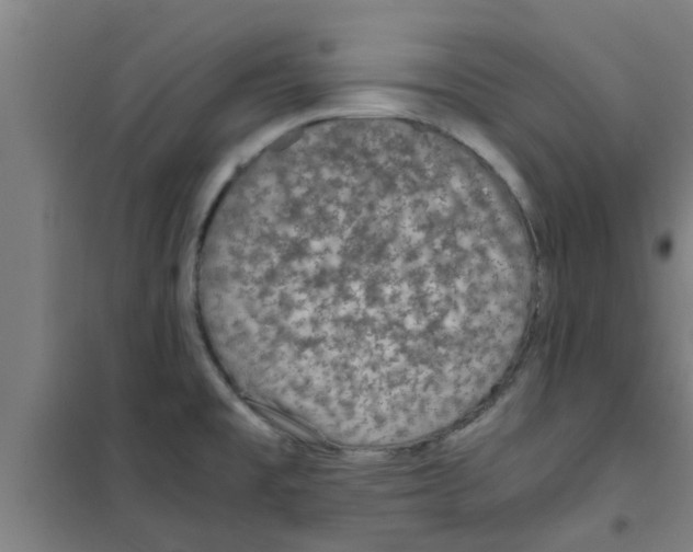 X0000100401477200807032002