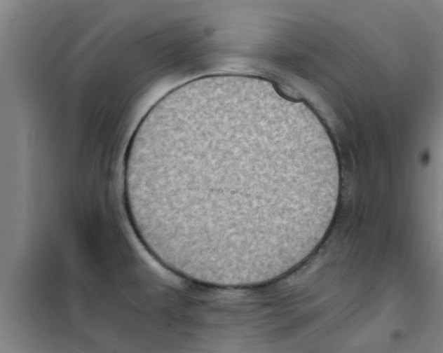 X0000100401479200807032002