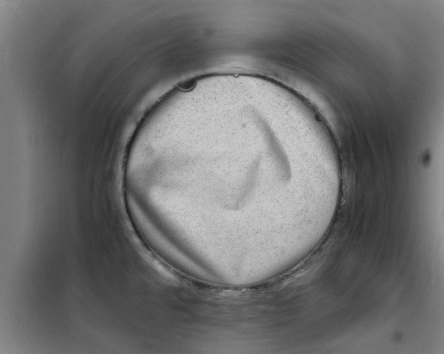 X0000100401480200807032002