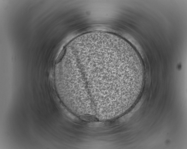 X0000100401481200807032002