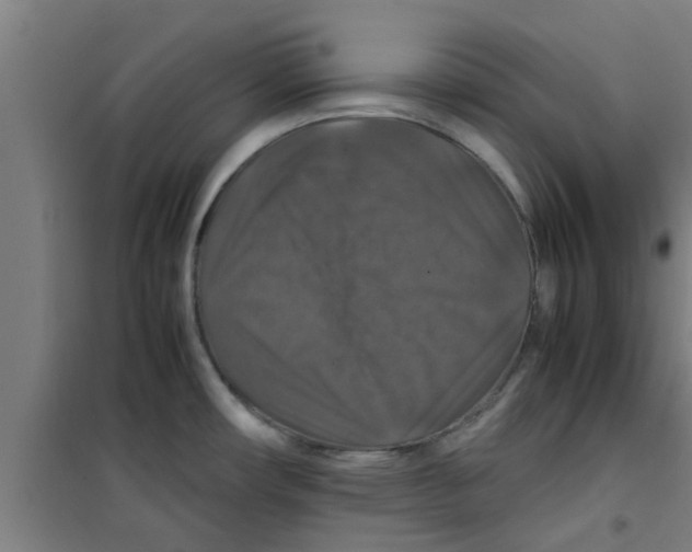 X0000100401482200807032002