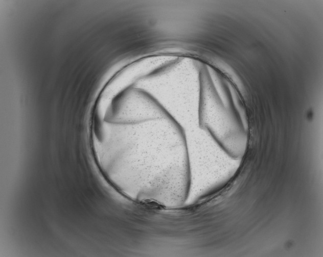 X0000100401483200807032002