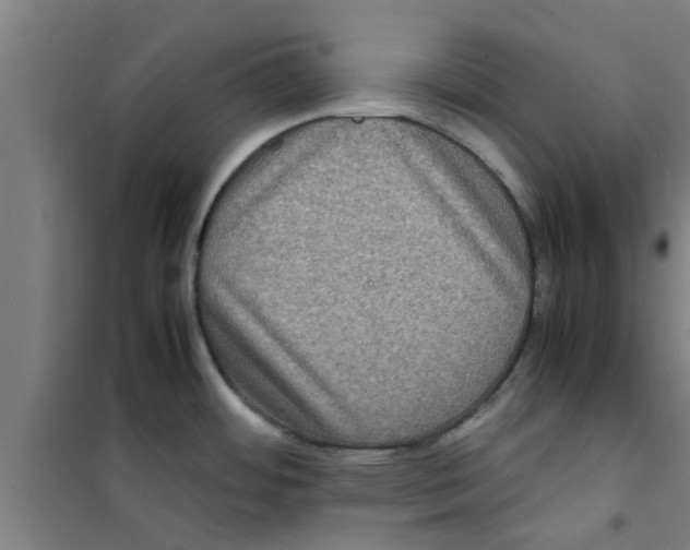 X0000100401484200807032001
