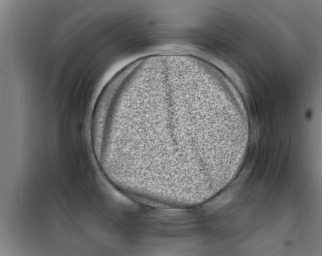 X0000100401486200807032001