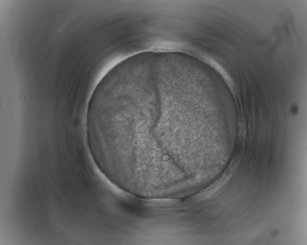 X0000100401487200807032001