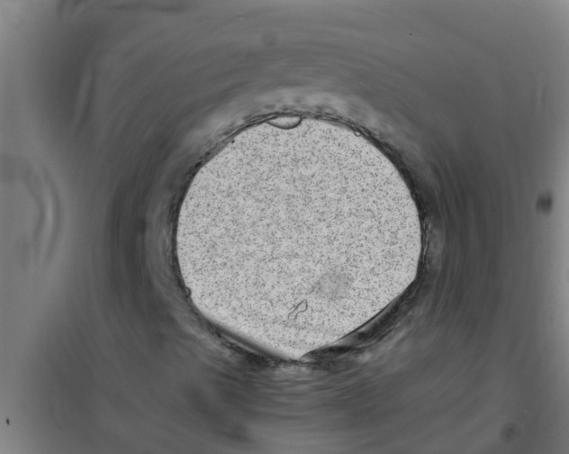 X0000100401489200807032001