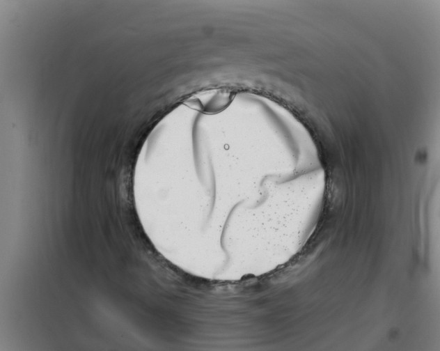 X0000100401490200807032001