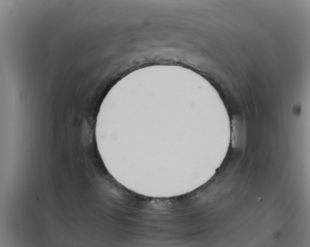 X0000100401491200807032001