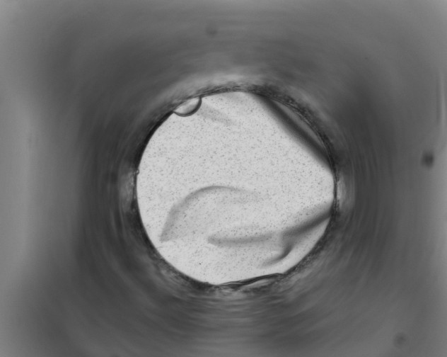 X0000100401492200807032001