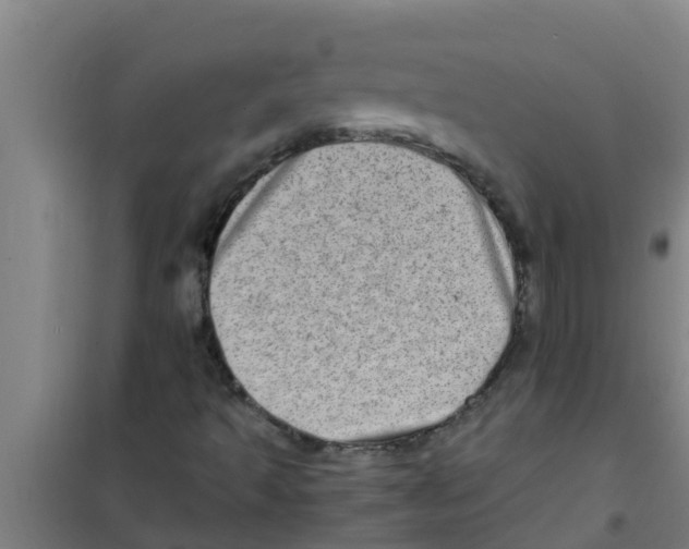 X0000100401493200807032001