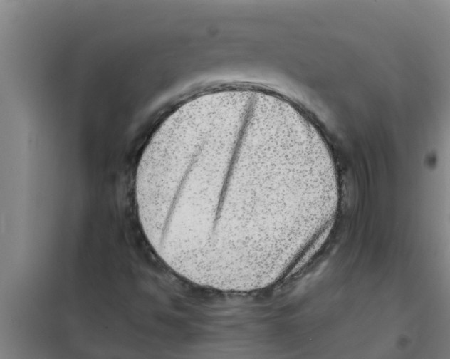 X0000100401494200807032001