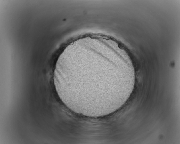 X0000100401495200807032001