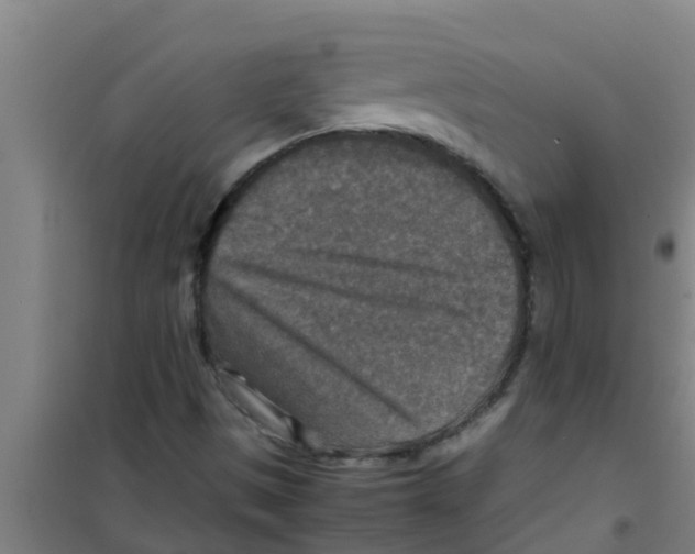 X0000100401497200807032001
