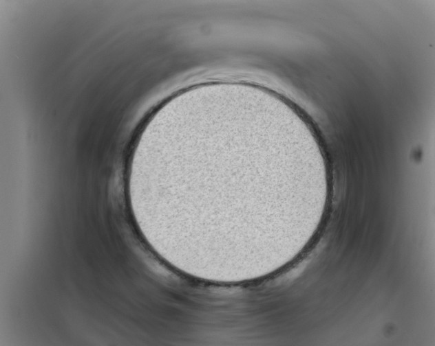 X0000100401498200807032001