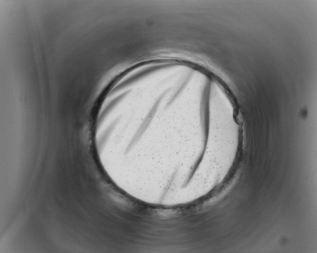 X0000100401501200807032001