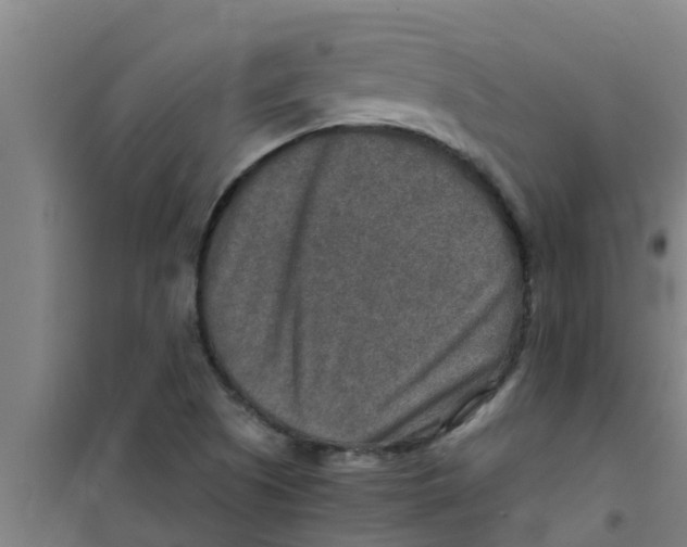 X0000100401505200807032001