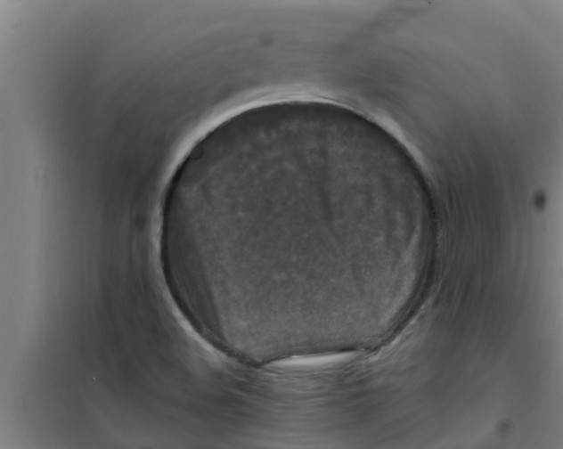 X0000100401508200807032001