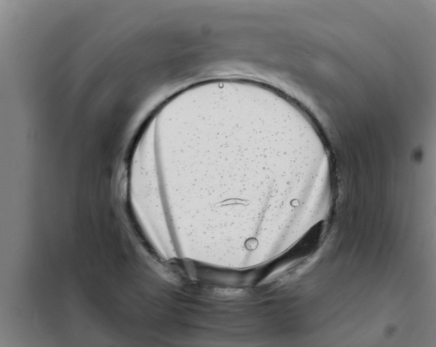 X0000100401509200807032001