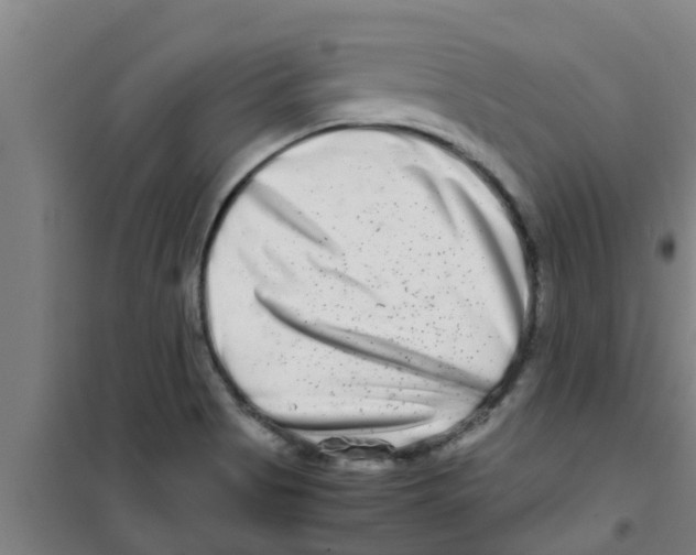 X0000100401513200807032001