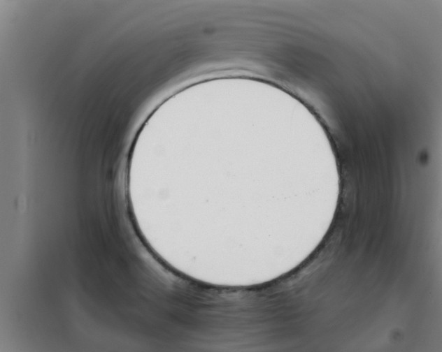 X0000100401516200807032001