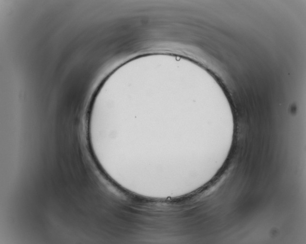 X0000100401517200807032001
