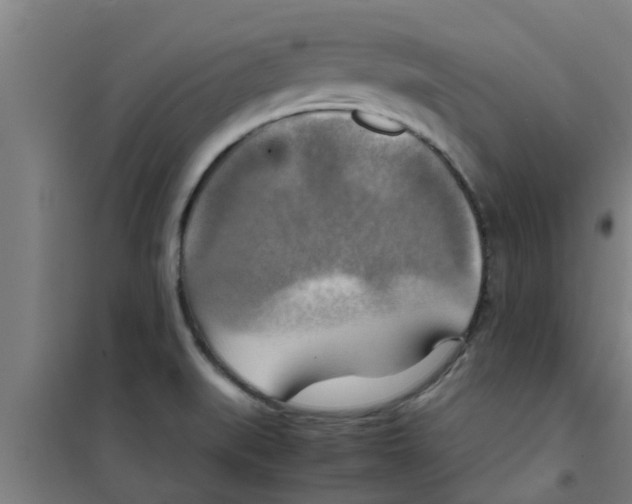 X0000100401519200807032001