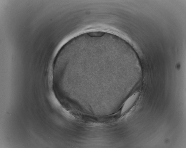 X0000100401522200807032001