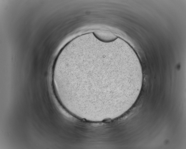 X0000100401523200807032001