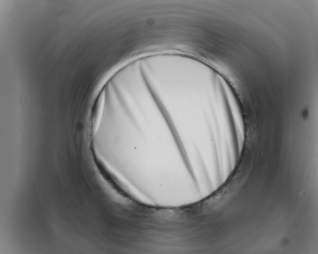 X0000100401524200807032001