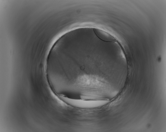 X0000100401527200807032001