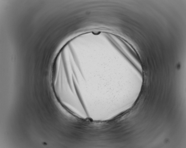 X0000100401531200807032001